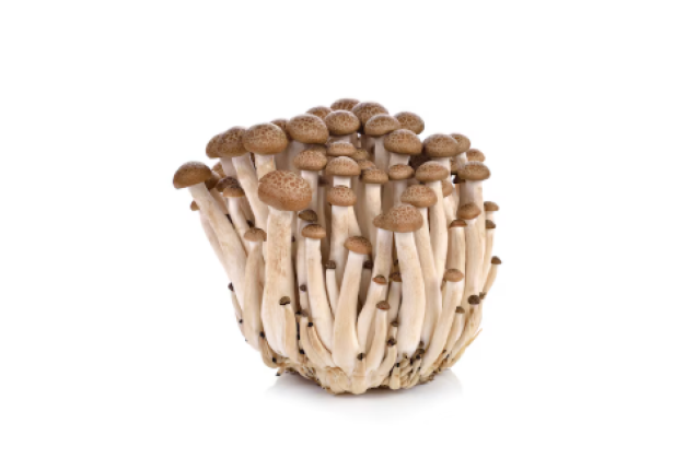 Brown Shimeji Mushrooms  - 3KG