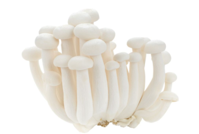 White Shimeji Mushrooms- 3KG