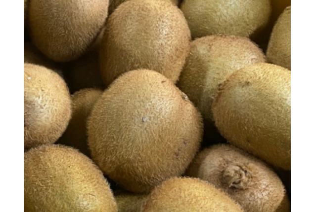 Kiwi - Variety - HAYWARD/BOERICA/KLONOS 8 - SIZE 18 - 6kg