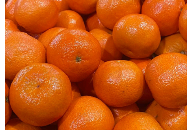 Clementines Mandarines  - Size 1-5 , Carton Package 10kg