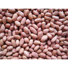 Raw Groundnut Per kilo