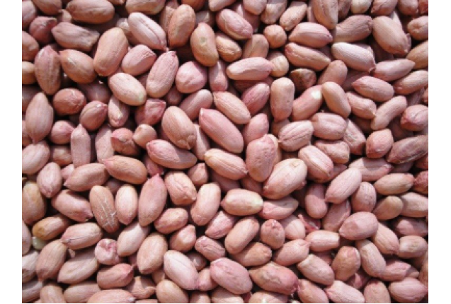 Raw Groundnut Per kilo