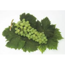 Muscat Alexandria Grapes per kg