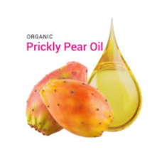 Organic Prickly pear seed oil Per Liter