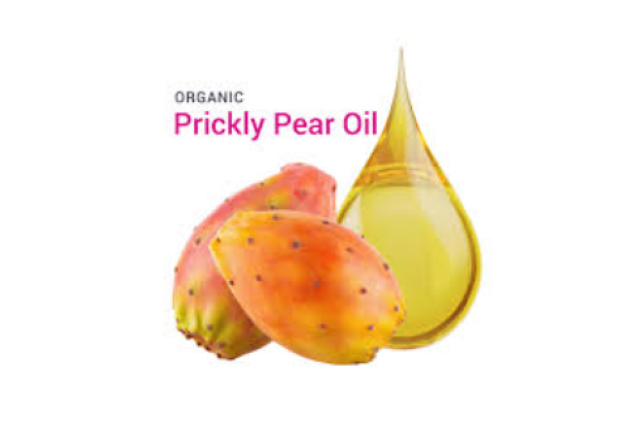 Organic Prickly pear seed oil Per Liter