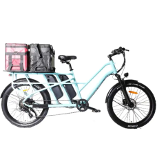 Simba Double Carriage Cargo E-Bike