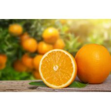 Orange Juice Concentrate - 220kg drum