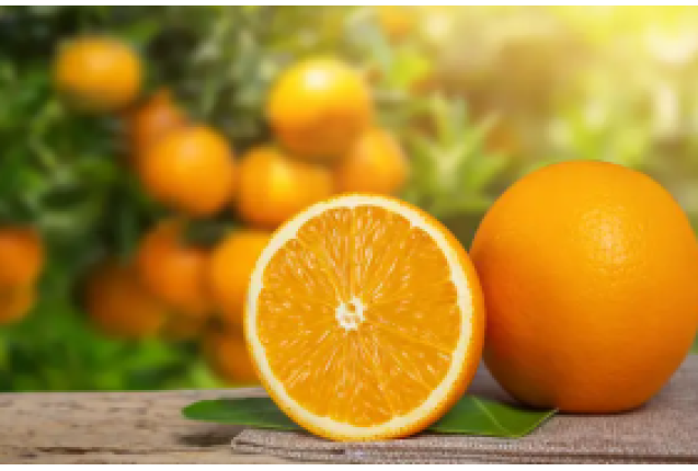 Orange Juice Concentrate - 220kg drum