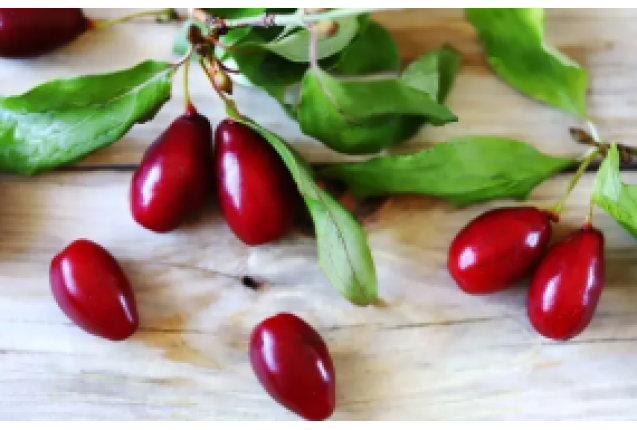 Cornelian Cherry Juice Concentrate - 220kg drum