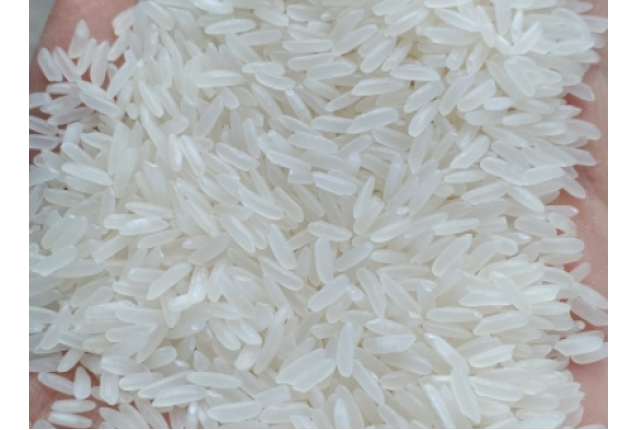 Jasmine Rice per MT