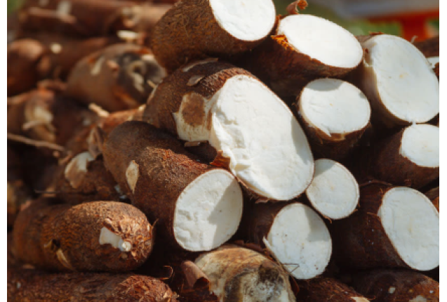 Raw Cassava Per tonne