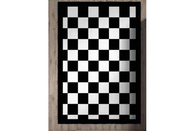 Black & White Checkered Area Rug – Modern Geometric Design Center Rug for Living Room & Bedroom