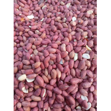 Fresh Ground Nut -50kg