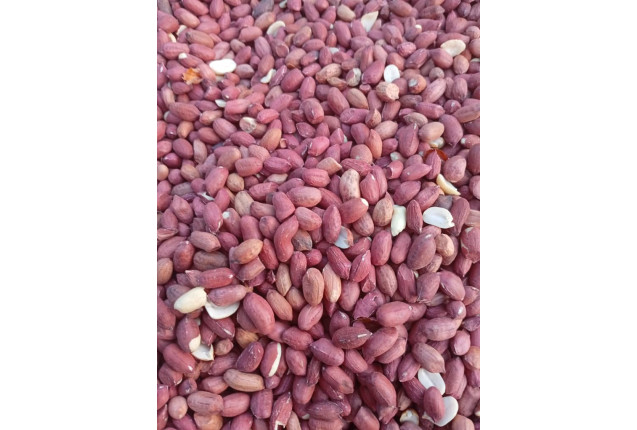 Fresh Ground Nut -50kg Fresh Ground Nut -50kg