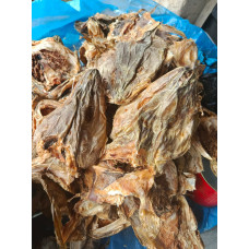 Head Cod -30kilo