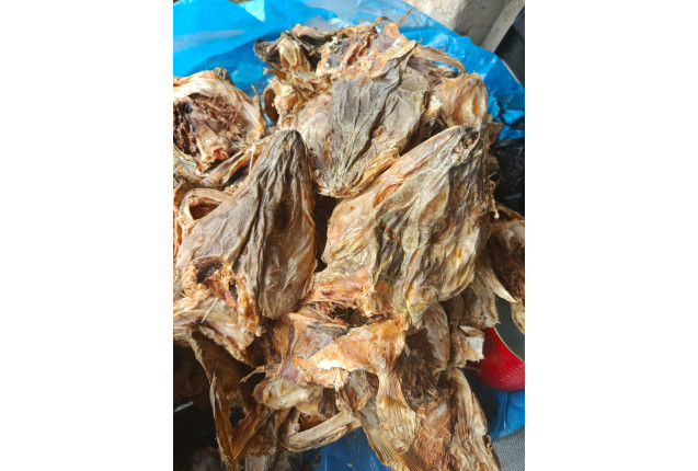 Head Cod -30kilo
