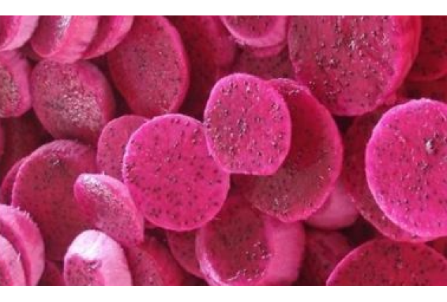 Frozen Dragon Fruit Slices – Per kg x 10 1