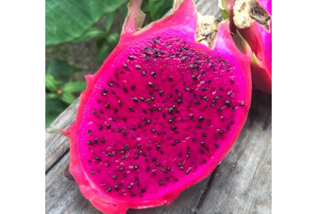 Frozen Dragon Fruit Halves – Per kg x 10