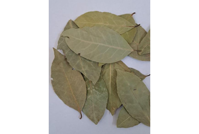 Bay Leaves (Laurus nobilis) – Aromatic Spice for Soups, Stews & Sauces - Per Ton