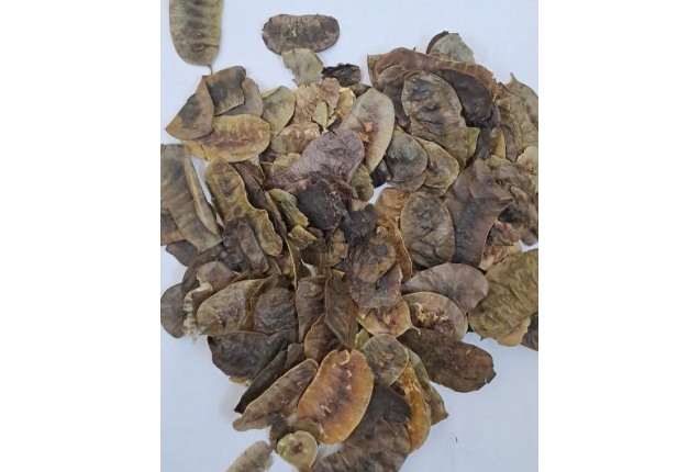 Senna Pods – Natural Herbal Laxative for Constipation Relief, Detox & Digestion - Per Ton