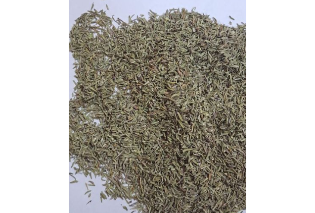 Premium Thyme  Natural Dried Thyme Leaves Fresh Aromatic Spice & Herb - Per Ton