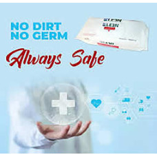 Leen Antiseptic Wet Wipes (15 