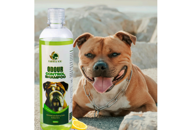 Odour Control Dog Shampoo – Freshness, Aloe Vera & Bicarbonate for Short-Haired Dogs x 16