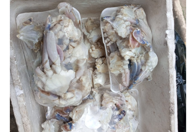 Crab chest 1kg