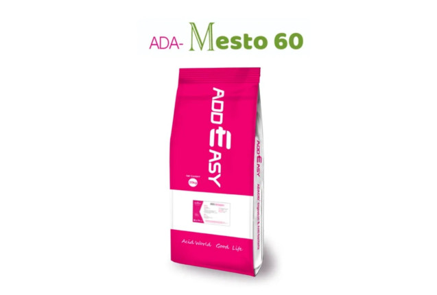 ADA-Mesto 60