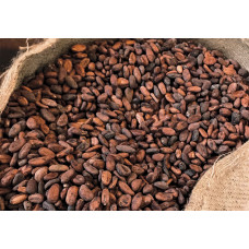 Raw Organic Cocoa Beans (metric ton)