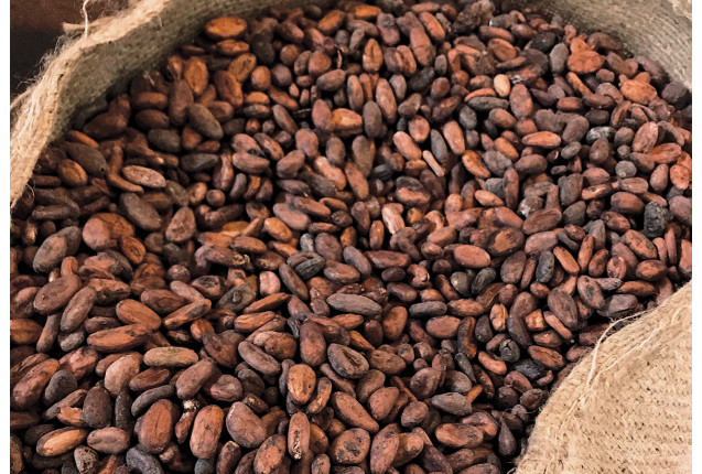 Raw Organic Cocoa Beans (metric ton)