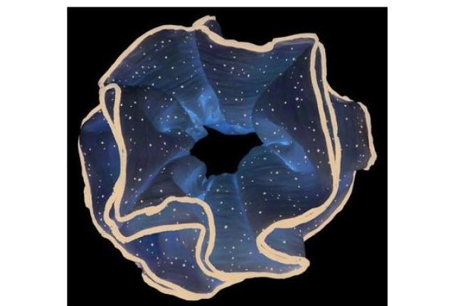 Titania Beige Hair Elastic with Black Dots x 6