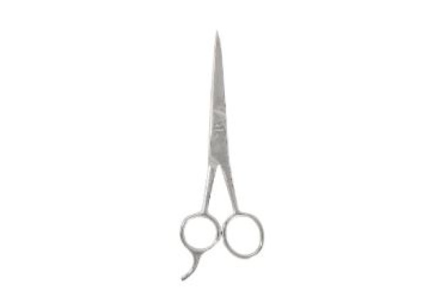 Hair Scissors with Hook – Stainless Steel (13 cm) x 24
