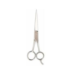 Hair Scissors with Hook – Stainless Stee