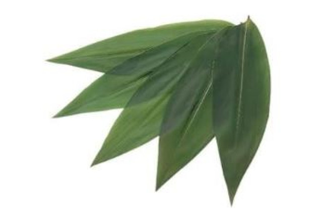 Japanese Bamboo Leaves – 100 Pieces (Vacuumed Fresh Pack)