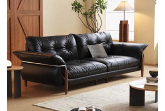 Sofa Set (JLSG-8838-FZP-4-SF)