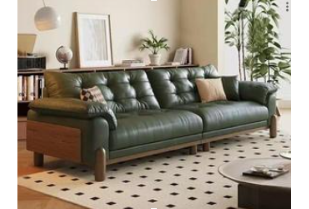 Sofa Set (JLSG-8839-BY-LS-SF)