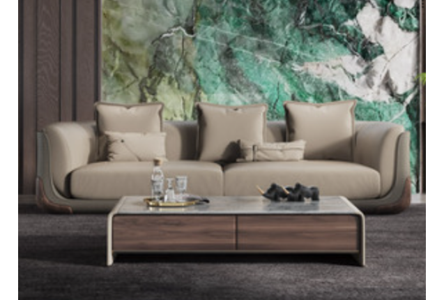 Sofa + Table Set (NTZ-JX2213-1.6-CJ)