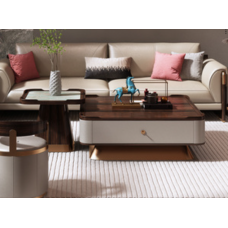 Coffee Table + Corner Table Set (MYDF-504-CJZH)