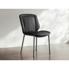 Dining Chair Set (NMDS-TY5536-SHS-CY)