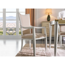 Dining Chair Set (MKSJ-MC2001-ZP-FSY)