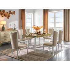 Dining Table And Chair Set (MKSJ-MC2001-