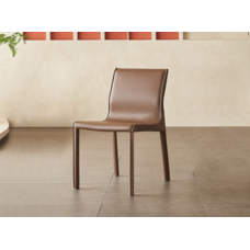 Dining Chair Set (ORS-Y89-PY-ZS-CY)