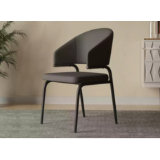 Dining Chair Set (GD-Y80-PY-SHS-CY)