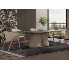 Dining Table And Chair Set (NTZ-JX2608-PY-CY)