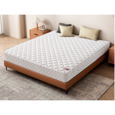 Bed Set (YL-ZT-147-QT-P160T-21-1820-CD)