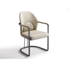 Outdoor Chair (YFCJ-WG-2436-CY)