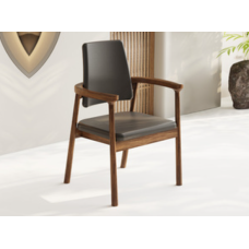 Outdoor Chair (YFCJ-WG-2451-SHS-CY)