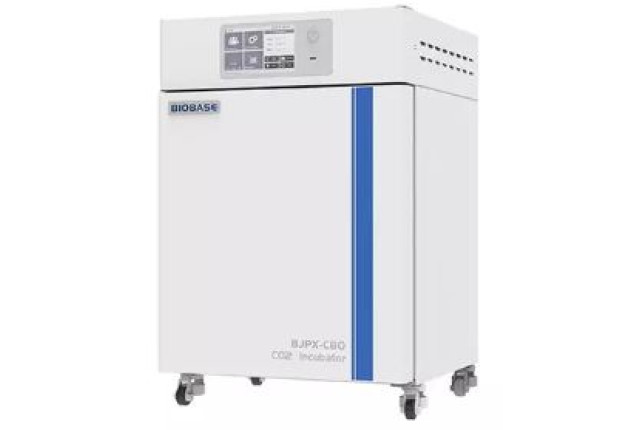 CO2 Incubator | Model BJPX-C50 (110V)
