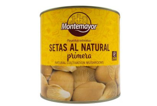 Montemayor Seta Cardo Lata 2500/1200ESC x 6